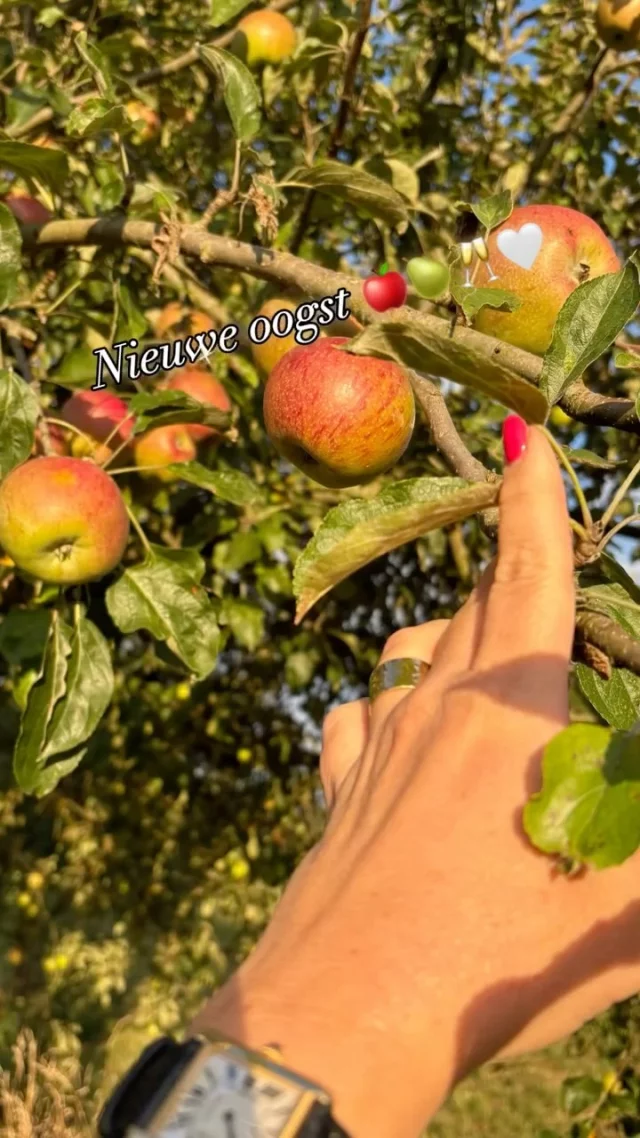 Nieuwe oogst 🍎🍐🥂🤍