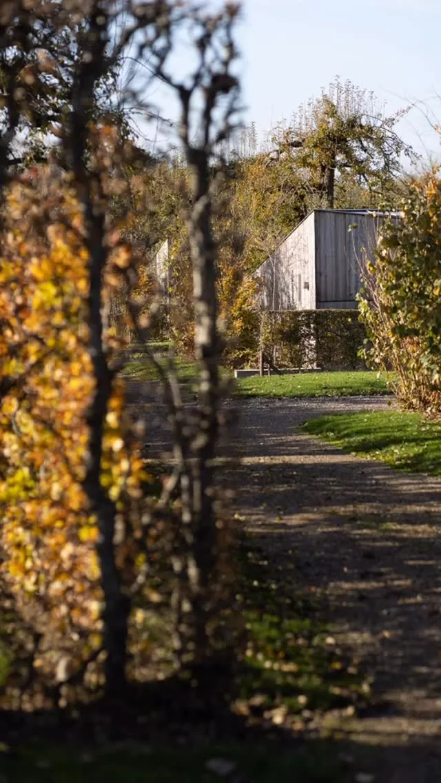 ✨ Even niets moeten….
De herfst nodigt je uit op #landgoedmoerslag om te vertragen.
Tussen het ritselen van de bladeren en het zachte licht van de namiddagzon vind je hier rust, warmte en eenvoud.🍁 
Ontsnap aan de drukte, onthaast, kom tot jezelf en geniet van de knusheid van de herfst, midden in de natuur.🌿

#vakantiehuis #maastricht #zuidlimburg #wandelen #landgoedmoerslag #bijzonderplekje #fietsen #wellness #placewithaview #ecofriendly #herfstgevoel #onthaasten #natuurloft® #slowtravel #herfstsfeer #natuurlogies