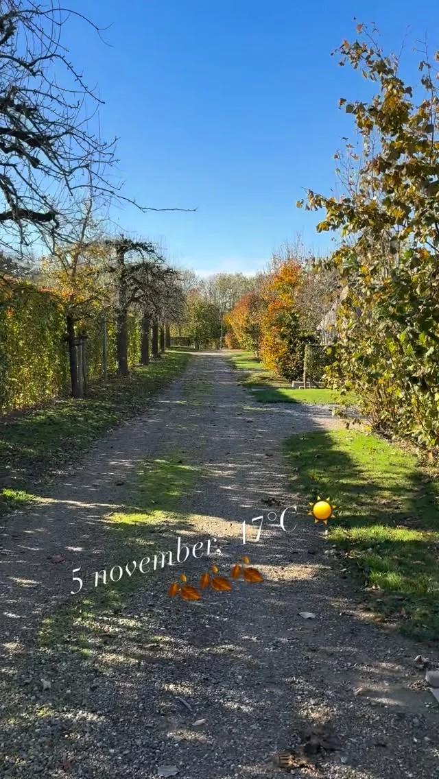 5 november,  17°C ☀️
🍂🍂🍂