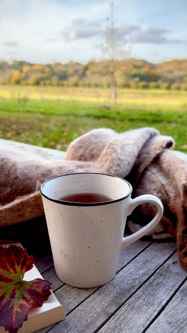 🍂Herfst op zijn mooist bij Landgoed Moerslag 🍁

Een kop dampende thee, een goed boek en het gouden zonlicht dat door de bomen danst…
De perfecte herfstdag bestaat echt.✨

Kom tot rust in onze Natuurlofts en Monumentale Vakantiehuizen, omringd door de prachtige kleuren van het seizoen. Hier vertraag je vanzelf, met elke slok, elke bladzijde, elke zonnestraal.☀️

📍Landgoed Moerslag… waar de herfst je omarmt…

#maastricht #zuidlimburg #vakantiehuis #wandelen #landgoedmoerslag #bijzonderplekje #fietsen #wellness #placewithaview #ecofriendly #hottubs #natuurloft #visitzuidlimburg #kleinschalig #resort #natuurhuisje #ontbijtservice #herfstgeluk #vakantieineigenland #slowliving #herfstvibes #rustmoment